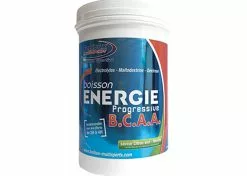 Fenioux Multi-Sports FENIOUX Multisports Boisson énergie Progressive BCAA Citron Vert / Menthe - 600g