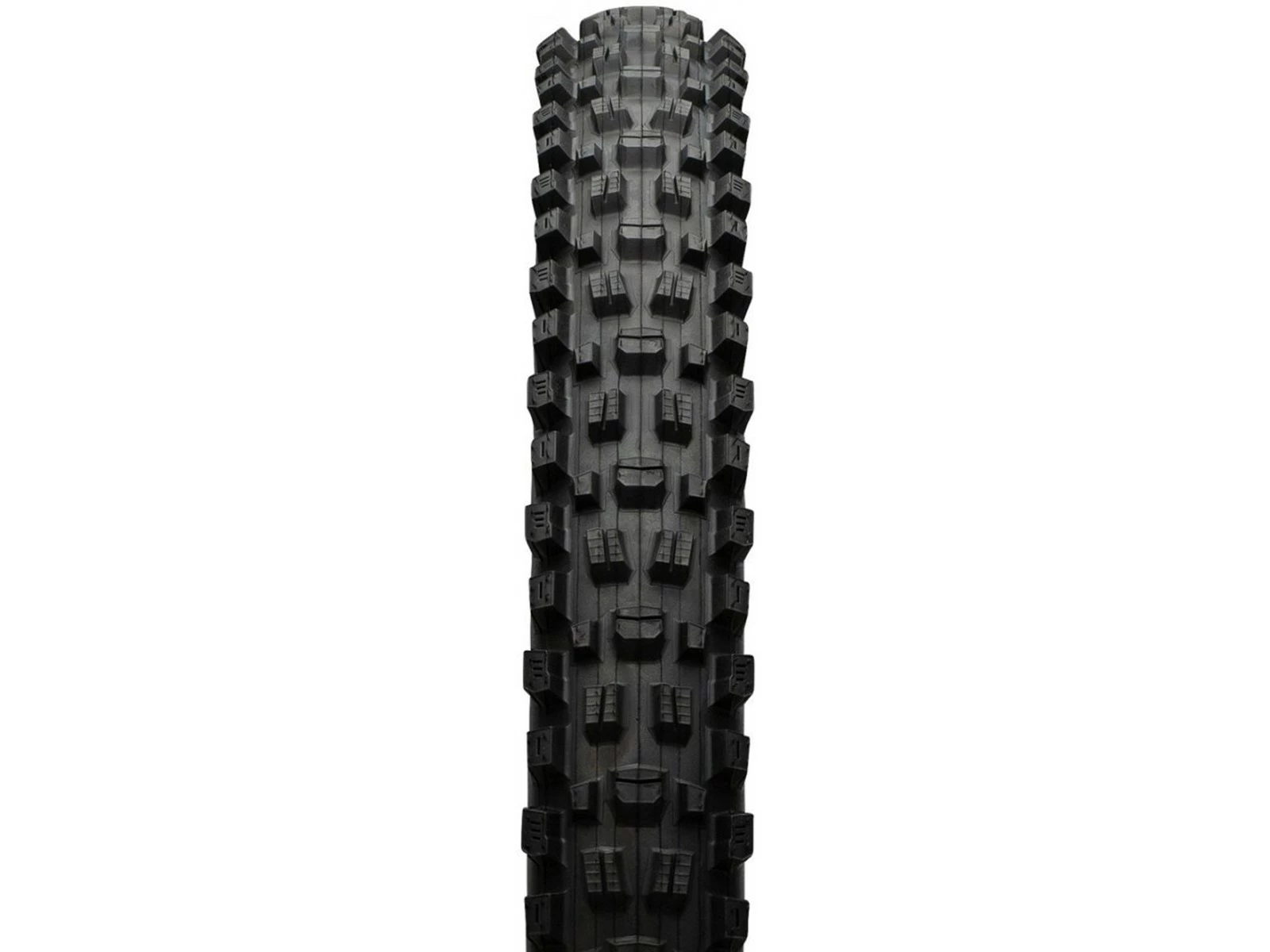 MAXXIS Assegai Pneu Souple 3C MaxxTerra EXO WT TR - 29 X 2,5 Pouces 4 MAXXIS Assegai Pneu Souple 3C MaxxTerra EXO WT TR - 29 X 2,5 Pouces â Image 4