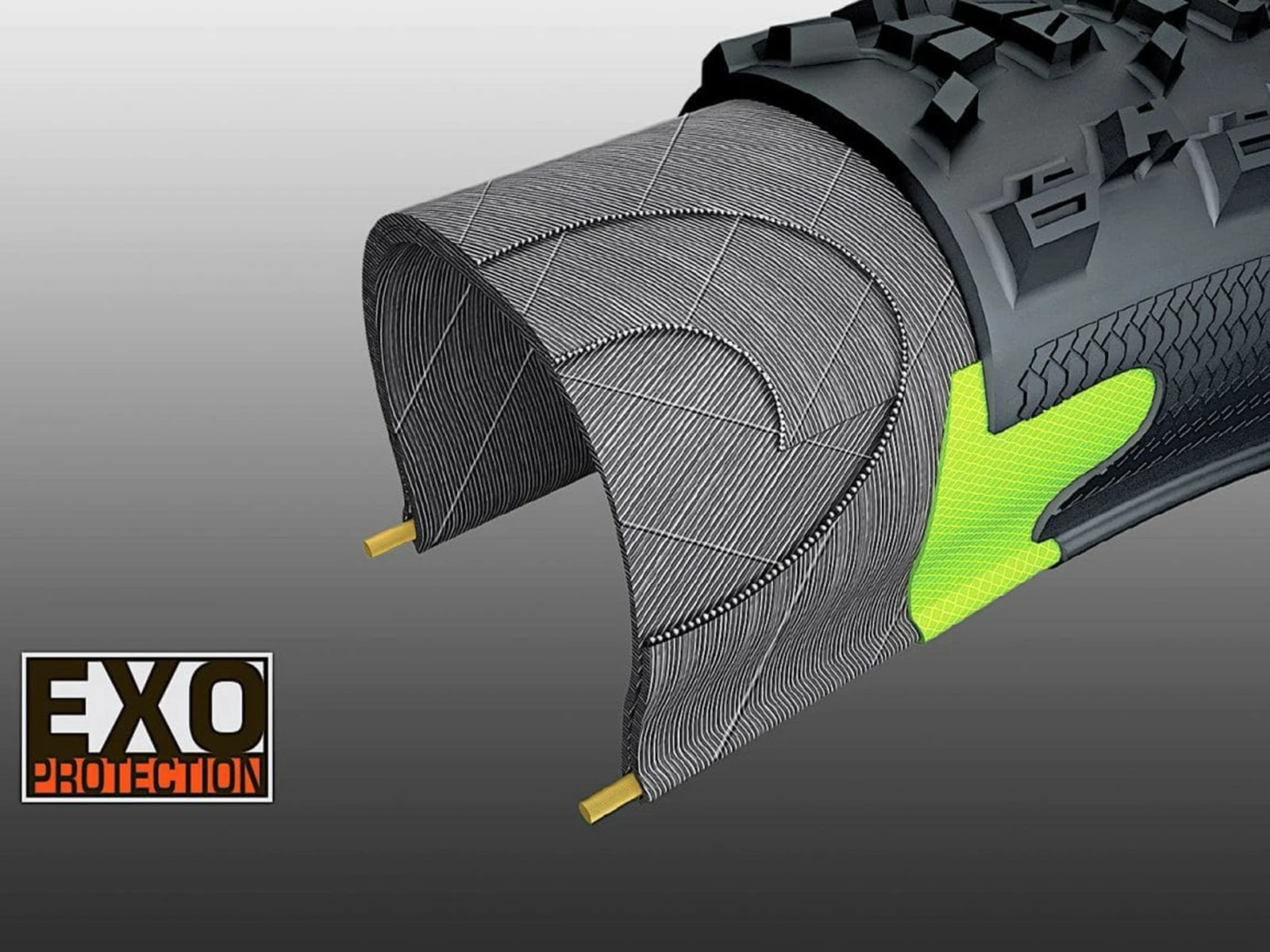 MAXXIS Assegai Pneu Souple 3C MaxxTerra EXO WT TR - 29 X 2,5 Pouces 6 MAXXIS Assegai Pneu Souple 3C MaxxTerra EXO WT TR - 29 X 2,5 Pouces â Image 6